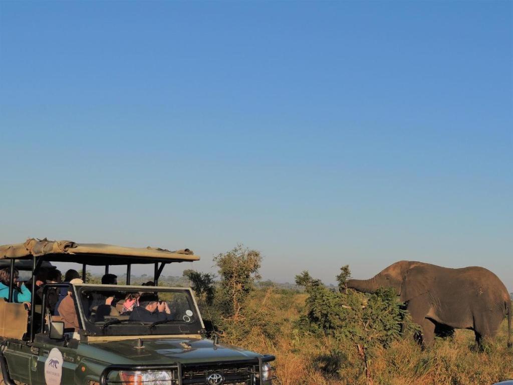 Honey Badger Safari House Villa Marloth Park Eksteriør billede
