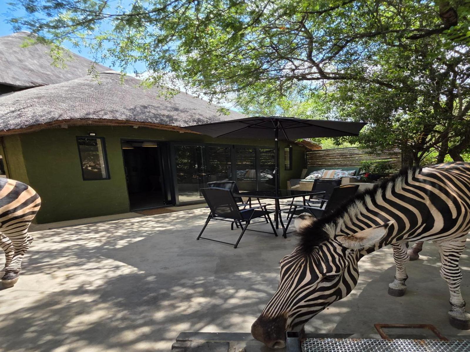 Honey Badger Safari House Villa Marloth Park Eksteriør billede